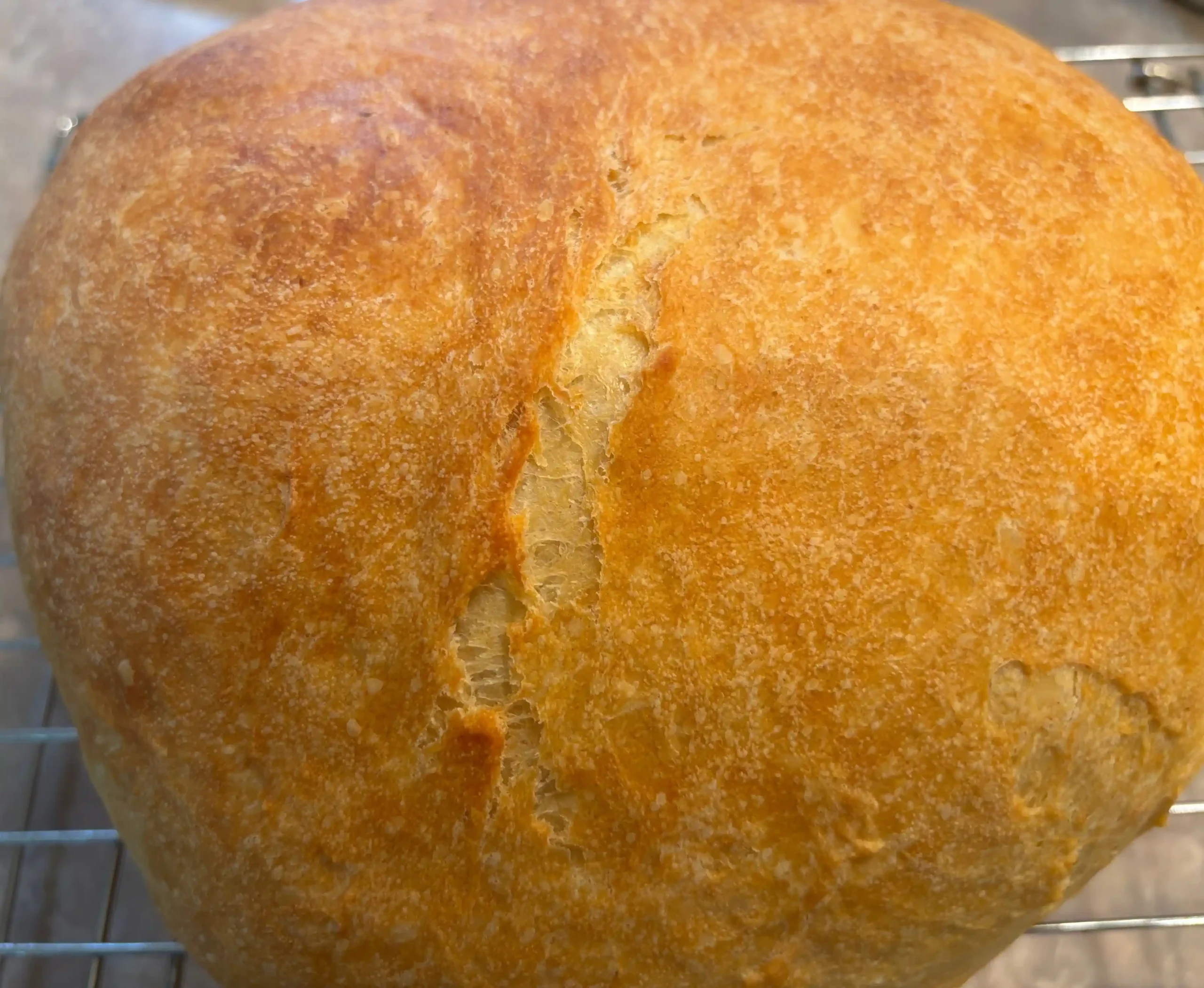 Tuscan Garlic Bread tuscan garlic bread close look