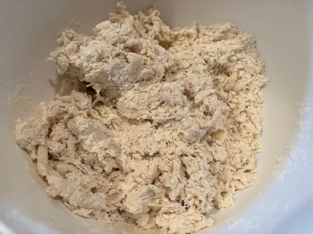 Chinese Flat Wheat Noodles chinese flat wheat noodles soaking